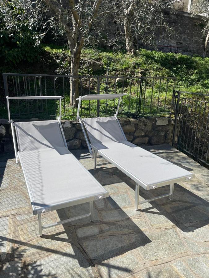 Oliveto Lario Casa Delle Olive 1 아파트 외부 사진